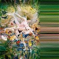 butterfly_dream