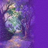 kincade_forest