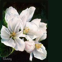 white_flower